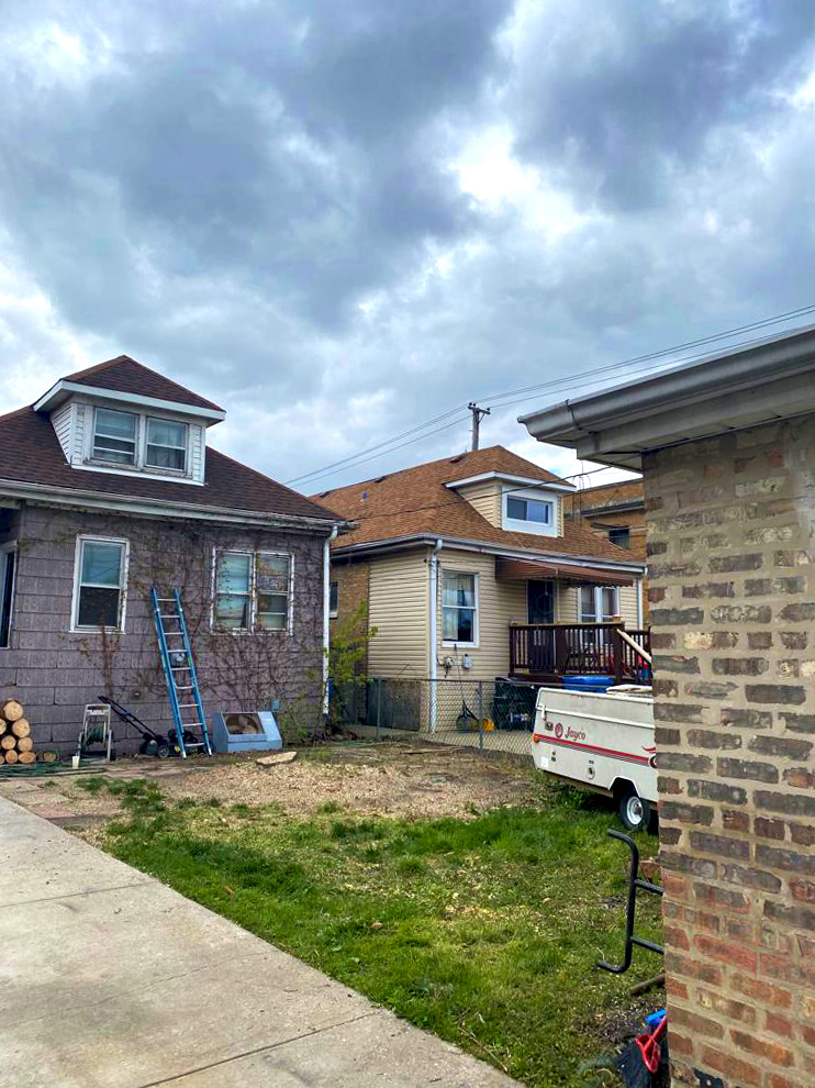 Tree service after work - view 2