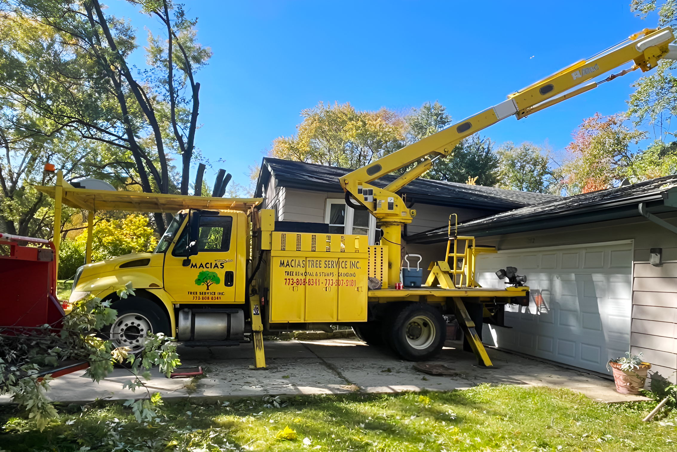 Expert tree service team working on a site