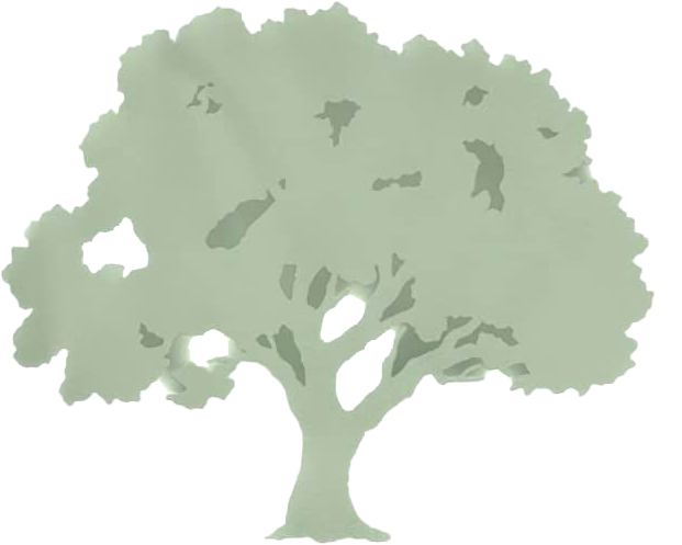 Macias Tree Service Inc. Logo - Tree maintenance and services